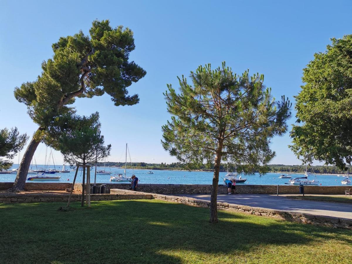 Ivan B&B, 5 Star Superior Room, Near The See And Park Novigrad Istria Exterior foto