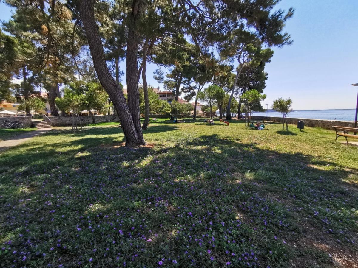 Ivan B&B, 5 Star Superior Room, Near The See And Park Novigrad Istria Exterior foto