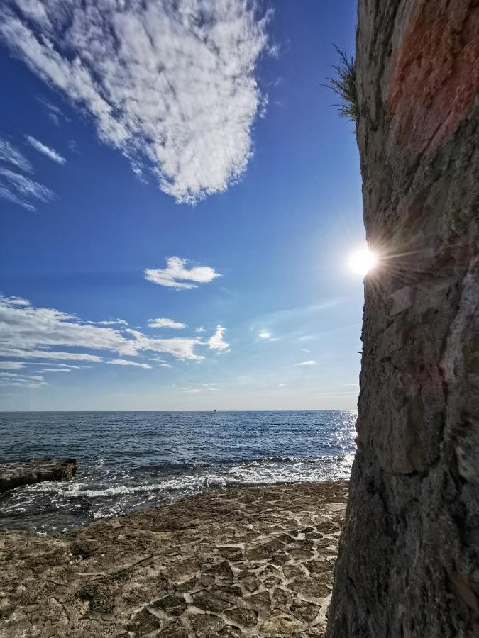 Ivan B&B, 5 Star Superior Room, Near The See And Park Novigrad Istria Exterior foto